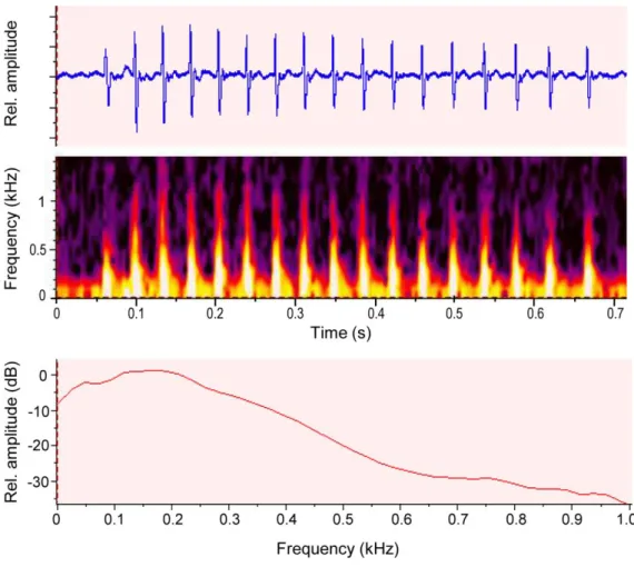 Fig. 2. Courtship sounds made by marble goby males. Oscillogram, spectrogram and  power spectrum (2048 points FFT) of a courtship drum made by a marble goby male