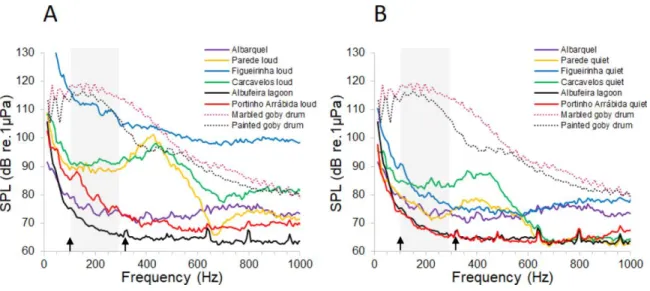 Fig. 4.  Ambient noise during quiet and loud moments. Power spectra of (A) elevated  (N=5 per location) and (B) low (N=5 per location) ambient noise of 2 s samples from the  studied sites and sound spectra from courtship drums of the painted and the marble