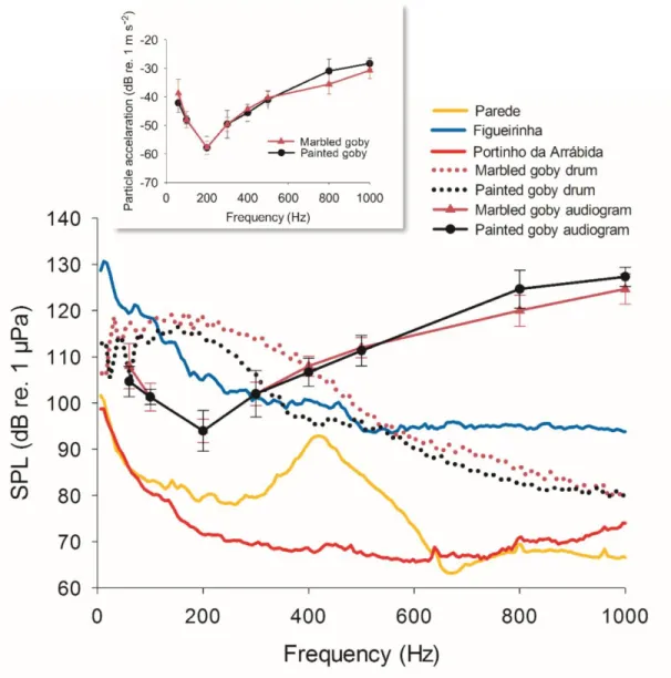Fig. 6.  Mean (± SE) hearing thresholds of the painted and the marble gobies. Six  adult males from each species were tested