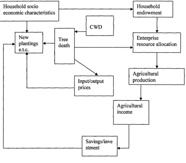 Figure 2  Schematics for  Cause  and  Effect  Relationships in CWD and Farmer  Coping Mechanisms 