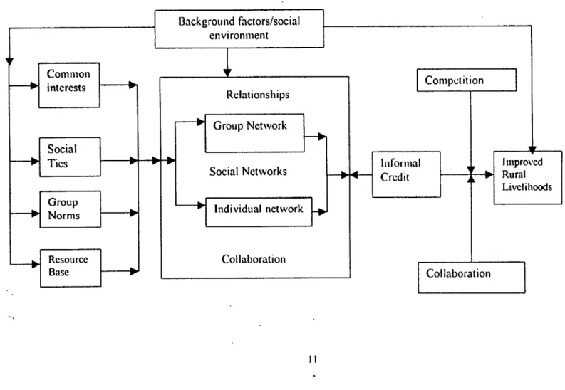 FIGURE  1.  The Network Analysis/Conceptual framework 