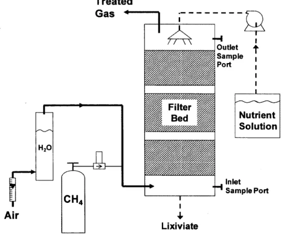 Figure 2-1:  Lab-scale biofiltration system