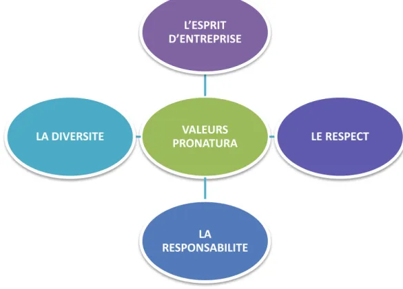Figure 1: Les valeurs ProNatura. Source: création de l'auteur 