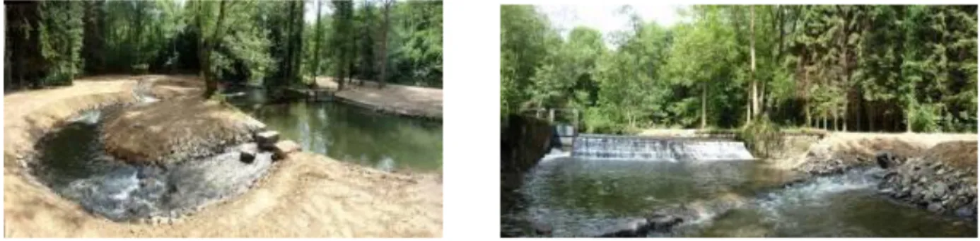 Figure  3 :  Vue  du  bras  de  contournement  et  du  déversoir  de  Purnode  sur  le  Bocq  (chantier  DCENN  Namur  -  juin  2010) 