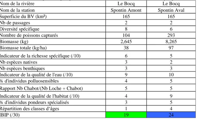 Tableau 2 : Indice biotique d’intégrité piscicole IBIP des stations amont et aval sur le Bocq à Spontin (17/7/2010) 