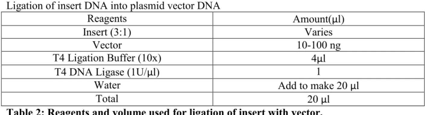 Table 2: Reagents and volume used for ligation of insert with vector. 