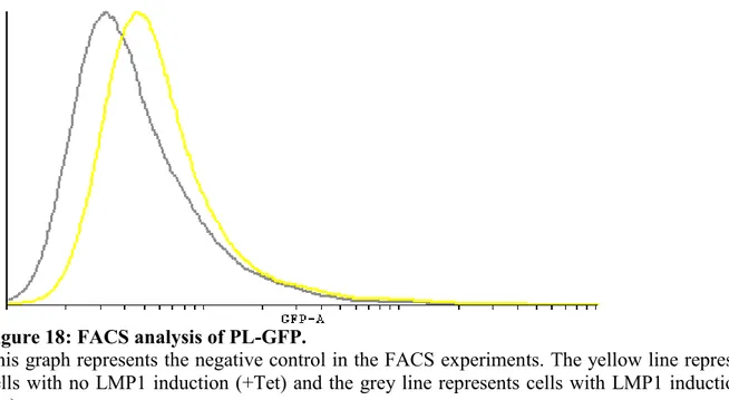 Figure 19: FACS Analysis of PL-GFP and CMV-GFP.  