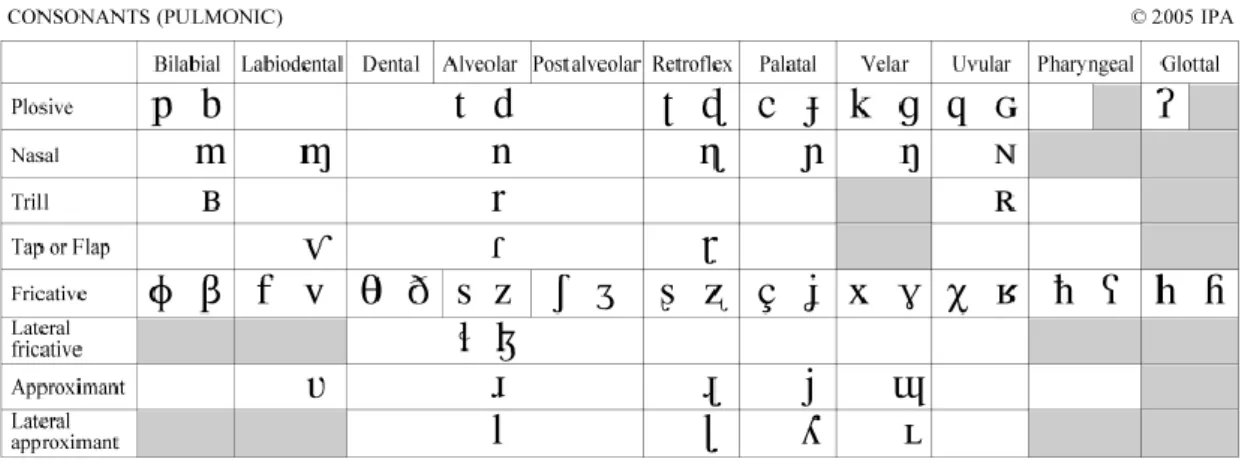 Illustration 4 : Tableau des consonnes pulmoniques de l’alphabet phonétique international
