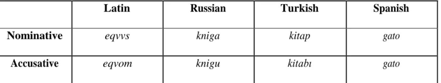 Figure 7: The nominative and accusative forms of Latin &#34;horse&#34;, Russian &#34;book&#34;, Turkish &#34;book&#34; and Spanish 