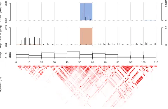 Figure 6.16 The region 7q31 on CD ibd analysed according to the T-Tree block map. In the first row, T-Trees variable and group importances