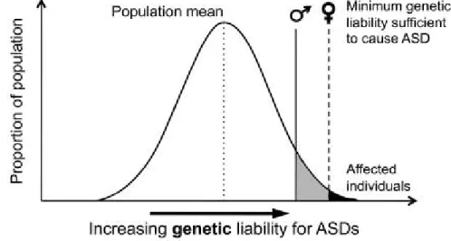 Figure 2. Schéma de la responsabilité génétique à seuils différenciés selon le sexe (figure  tirée avec autorisation de Werling &amp; Geschwind, 2013)