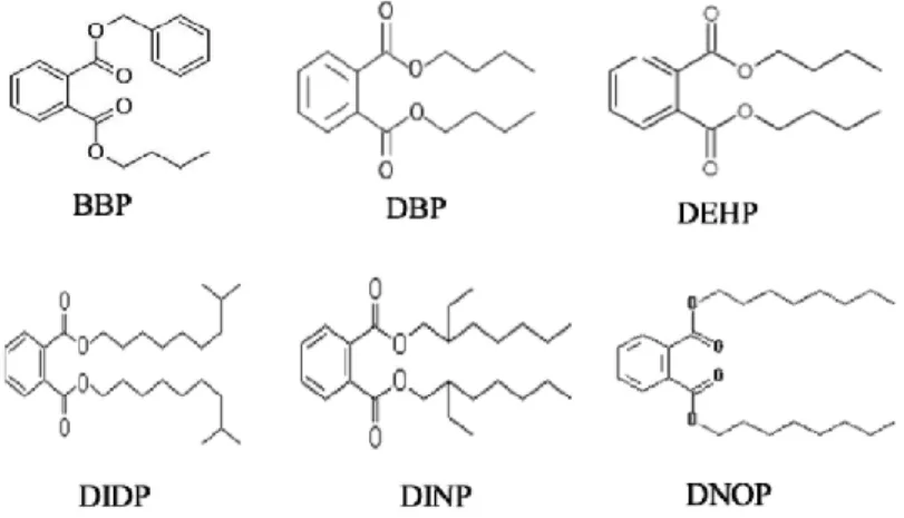 Figure 16. Structure de différents phtalates (figure tirée avec autorisation de Chen et al.,  2014) 