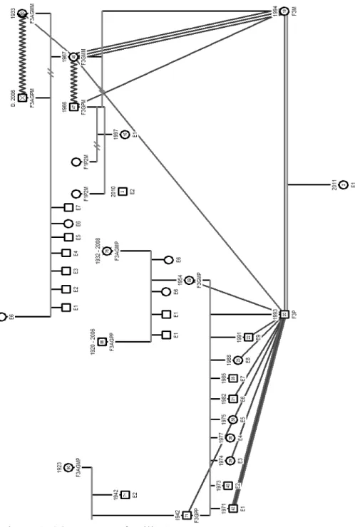 Figure 4. Génogramme famille 3 