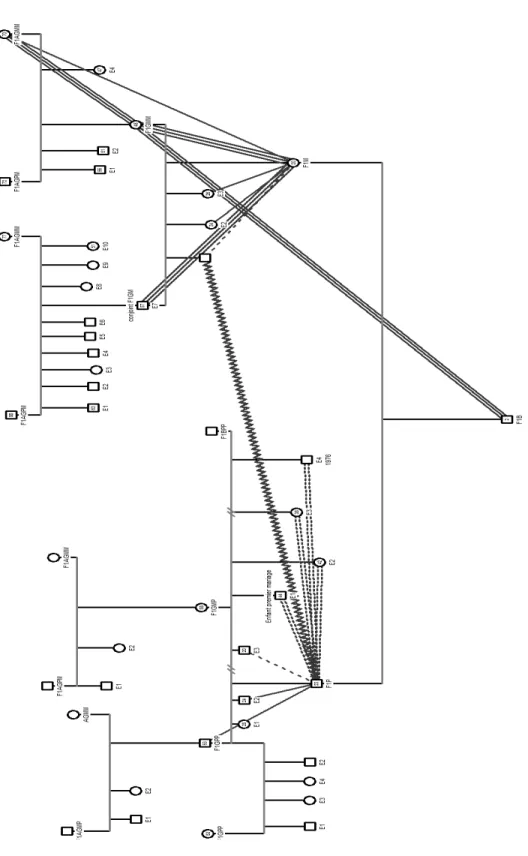 Figure 2. Génogramme famille 1 