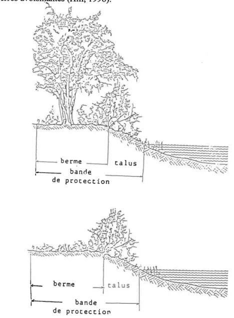 Figure 2.3  Exemples  de bandes  de protection  végétales (d'après  St-Yves  et al., 1986)