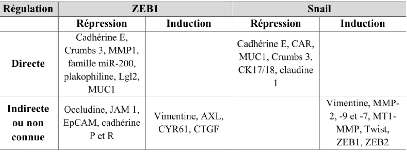 Tableau 3 : Mécanismes de régulations par ZEB1 et Snail. 