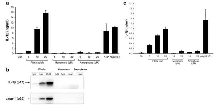 Table 1   Secondary structure content of lysozyme in the three  different states