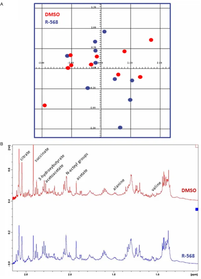 Figure 1.  1 H nuclear magnetic resonance ( 1 H-NMR) metabolomics analysis on urine samples from DMSO-treated  and  R-568-treated  mice