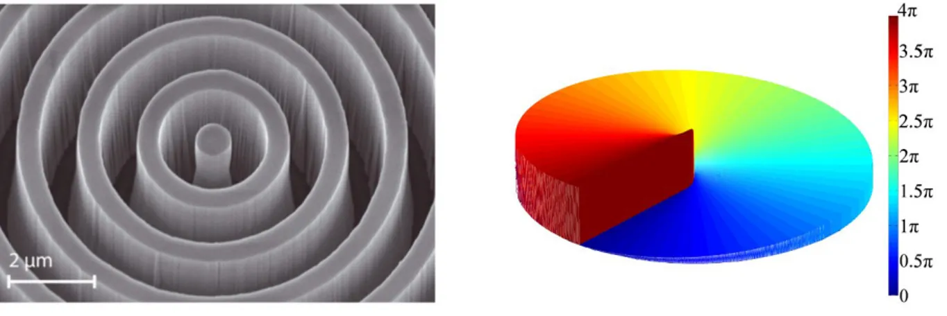 Figure 1.  Left: Scanning electron microscope (SEM) picture of the center of an annular groove phase mask (AGPM) made  out of diamond and dedicated to coronagraphic applications in the L band - Delacroix 2013