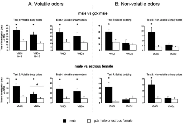 Fig . 3. Mean (± SEM) amount of time spent by VNOi or VNOx females investigating (A) volatile (no access) and (B) non-volatile (direct access) olfactory cues when given a choice between intact male odours and gonadectomized male odours or between intact ma