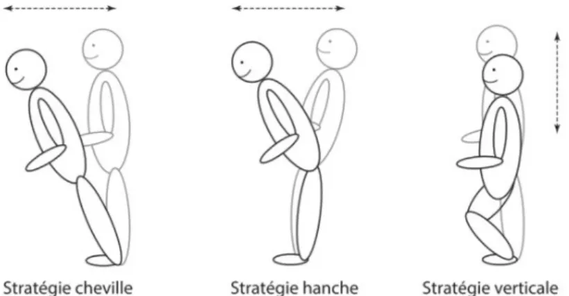 Illustration 1: Les trois stratégies posturales de Nashner et McCollum, dans Innocent Mutel, 2015