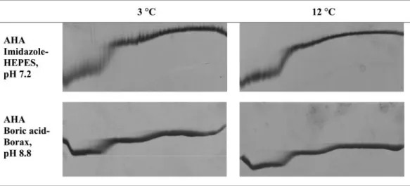 FIG. 7. Effect of low temperature on urea unfolding curves. Shown is TUG-GE at 3°C and 12°C in imidazole-HEPES (pH 7.2)-1 mM CaCl 2