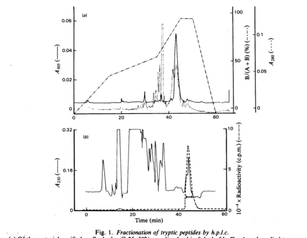 Fig. 1. Fractionation of tryptic peptides by h.p.l.c.