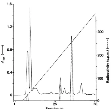 Fig. 2. U.v. spectrum of the purified peptide obtained by trypsin