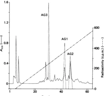 Fig. 4. Chromatographic profile of the first trypsin digest of the