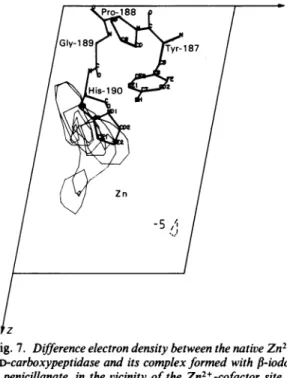 Fig. 7. Difference electron density between the native Zn2+