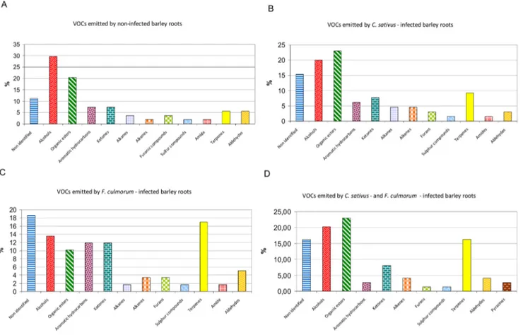 Figure 4. Chemical classes of the VOCs emitted by non-infected or infected barley roots