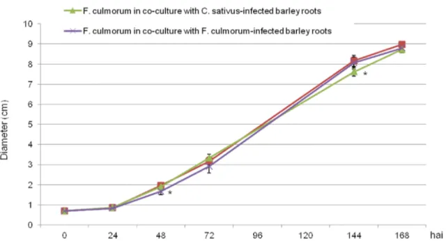 Figure 7. Effect of VOCs from non-infected or infected barley roots on the growth of Cochliobolus sativus 