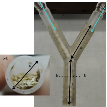 Figure III.1. Y-shaped olfactometers.  