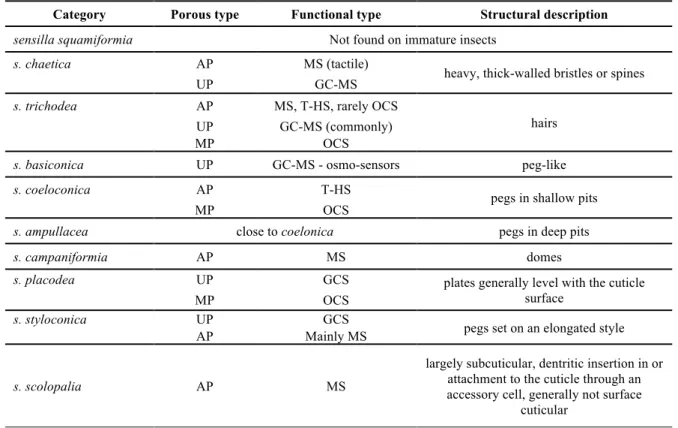 Table I-2. Sensilla commonly found on immature insects, based on   Zacharuk and Shields (1971)