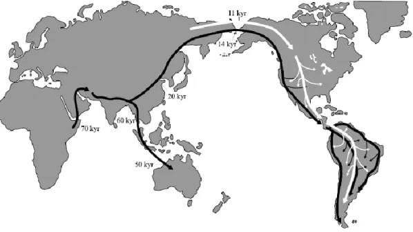 Figure 5 : Carte des migrations et routes empruntées selon le « Two component model » (Neves et al, 2003) 