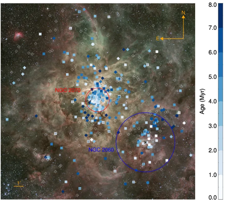 Fig. 2. Age map of our sample of massive VFTS stars. Symbols are as in Fig. 1, i.e. circles denote slash, WNh and WR stars, squares O-stars, diamonds B stars and triangles later-type stars