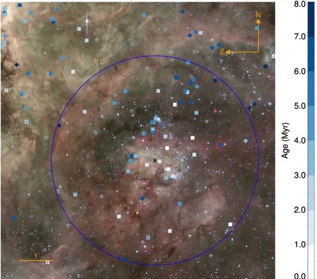 Fig. 6. As Fig. 2 but zoomed into the NGC 2060 region. The blue circle of radius 3.0 arcmin (44 pc) is centred on the pulsar PSR J0537−6910 (black asterisk) and stars within this circle are used to compute age and mass distributions.