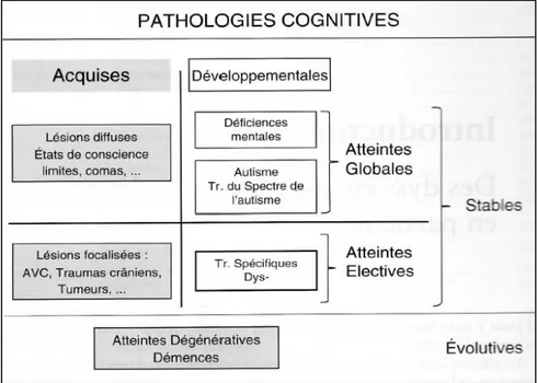 Figure 6 – La place des dys- au sein de l’ensemble des pathologies cognitives 94