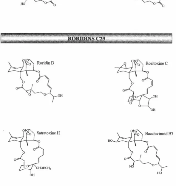 Figure 3:  Structure chimique de certains trichothécènes macrocycliques. 