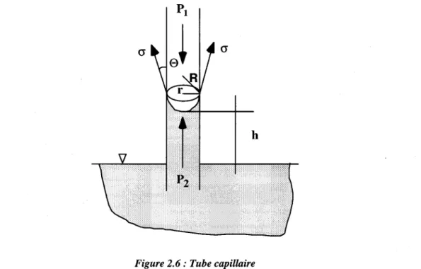 Figure  2.6 :  Tube capillaire 