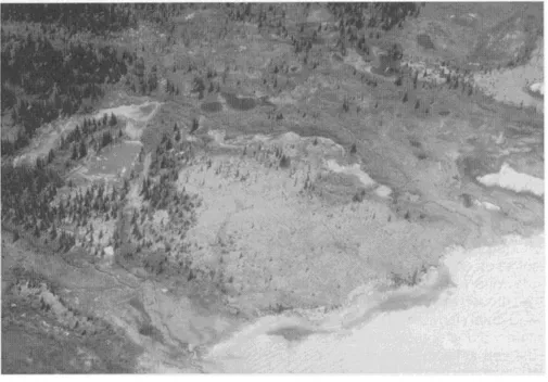 Figure 6. Photo du plateau lithalsique de Hudsonie étudié par Allard et al. (1996). Ce plateau est apparu il  y a moins de deux siècles à la suite du retrait de la mer (conséquence du relèvement isostatique qui s’est  produit après la fonte de la calotte g