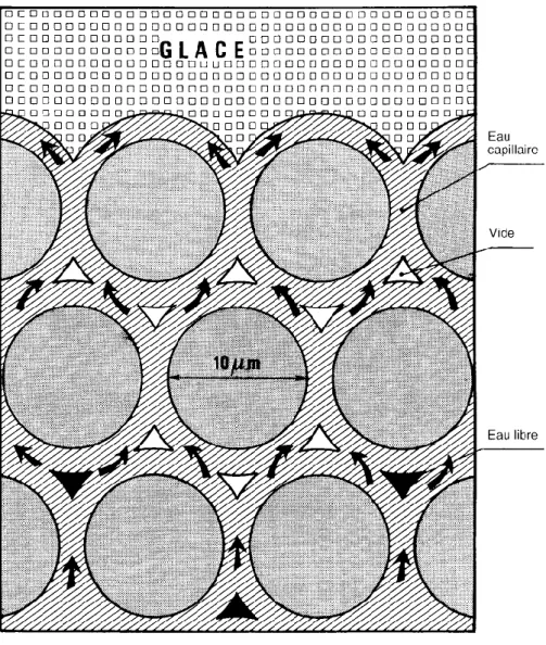 Figure  4.  Schéma  expliquant  le  mécanisme  de  migration  d’eau  capillaire  dans  les  sols  et  donc  l’alimentation  des  lentilles  de  glace  de  ségrégation