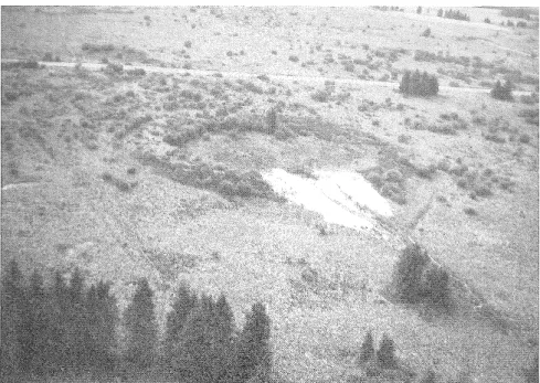 Figure 7. Vue aérienne prise en juillet 1976 du vivier où a été observée la coupe 3 de la figure 3 dont la  localisation est donnée sur la figure 2
