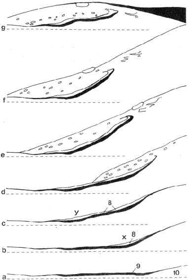 Figure 5. Etapes de la formation du rempart de la coupe 1 (figure 3) de la Konnerzvenn