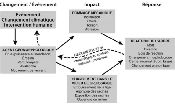 Figure 7 : Concept « Changement / Evènement – Impact – Réponse » de Schroder (1978, 1980) adapté par  Astrade et Bégin (2003) 