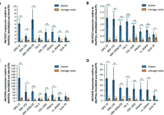 Fig. 4.  Correlation between vitamin B 1  content quantified by HPLC and expression levels of selected vitamin B 1  biosynthetic genes, (A) MeTHIC1, (B)  MeTHIC2, (C) MeTHI1a, and (D) MeTHI1b, in cassava leaves