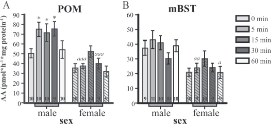 FIG. 1. Effects of restraint stress on AA (in pmol/h 䡠 mg protein) in (A) the POM and (B) the mBST of male and female quail (open and hashed columns, respectively)