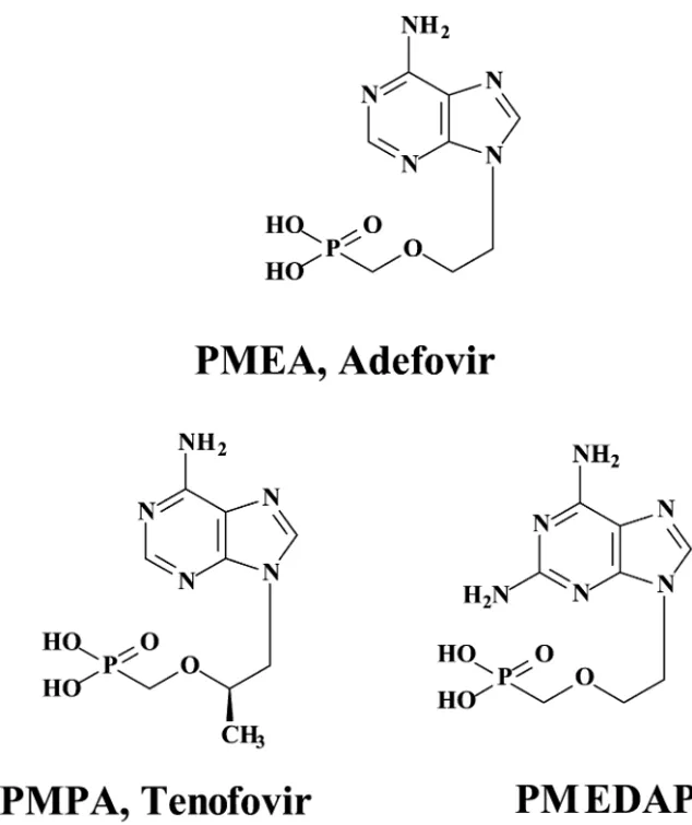 Fig. 1. Structural formulae of PMPA (tenofovir), PMEA (adefovir) and PMEDAP.