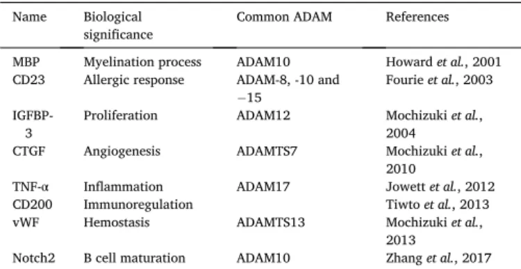 Fig. 1. Structure of ADAM28 isoforms. 