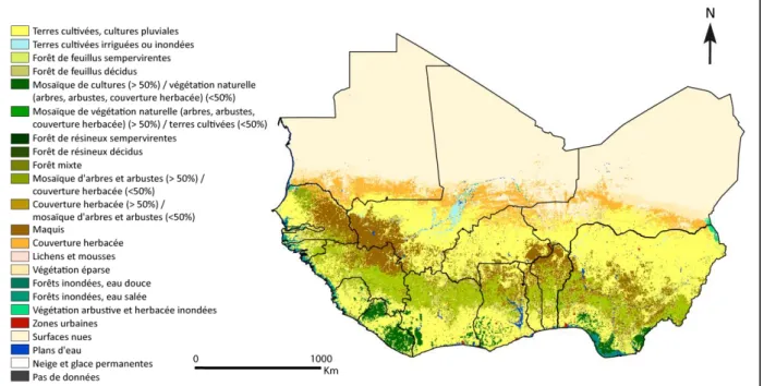 Figure  2  :  Carte  d'occupation  du  sol  à  300  m  de  résolution  spatiale  pour  l'année  2010  (2008-2012),  produite  par  l'Agence  Spatiale  Européenne  dans  le  cadre  du  programme  de  Surveillance  des  variables  Climatiques  Essentielles, 